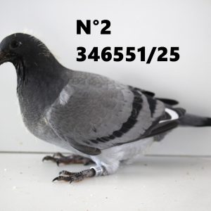 346551