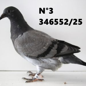 346552