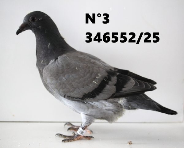 346552