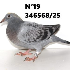346568