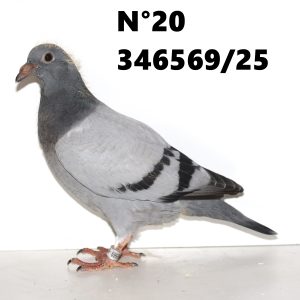346569