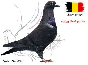 N° 40 : BE25-4010451