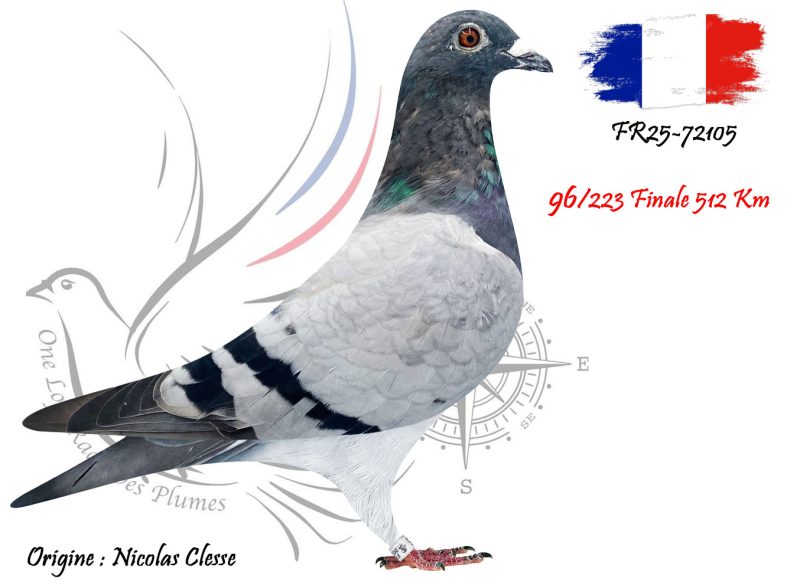 N° 96 : FR25-72105