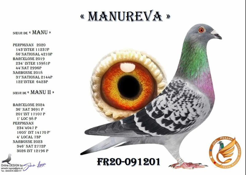 91201 manureva