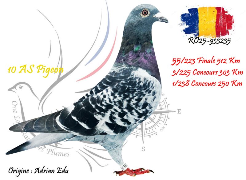 N° 55 : RO25-933235