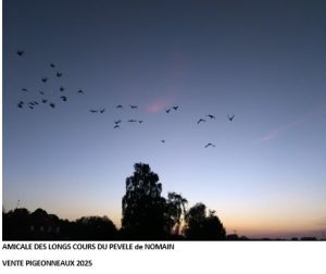 Vente de Bons : ALC PEVELE NOMAIN