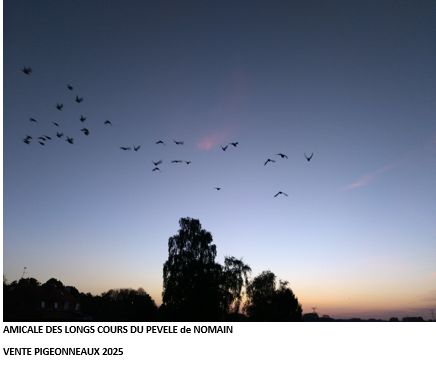 Vente de Bons : ALC PEVELE NOMAIN