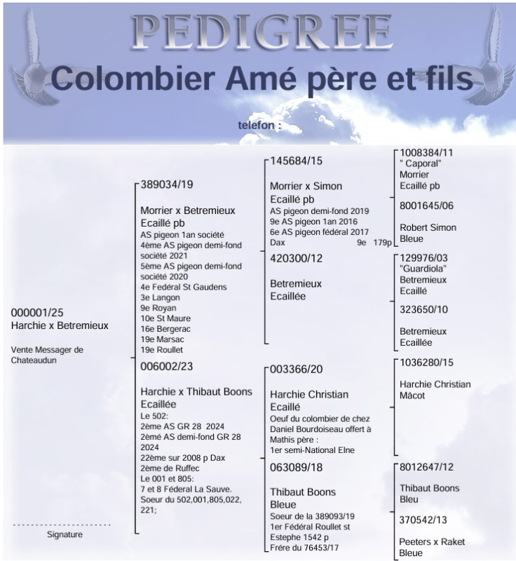 Ame 1