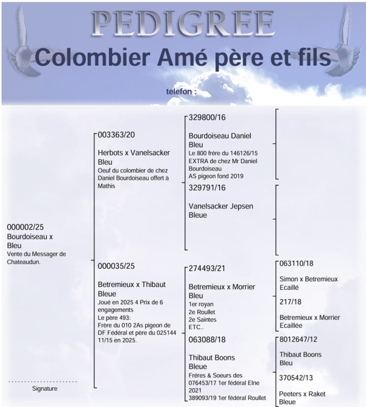 Ame 3