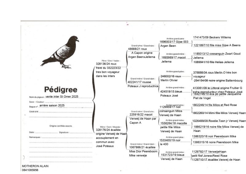 Alain motheron page 0001