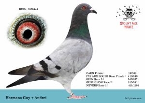 N° 45 : BE-2025-1008444 F – HEMANS Guy + Andrei