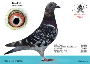 N° 43 : BE-2025-1014855 F – Forza les Wallons