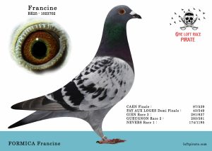 N° 35 : BE-2025-1023702 F – FORMICA Francine
