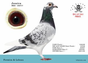 N° 46 : BE-2025-1023717 M – Formica & Lebeau