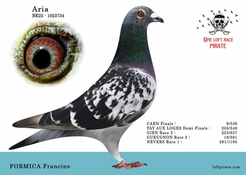 N° 47 : BE-2025-1023734 M – FORMICA Francine