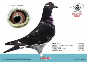 N° 36 : BE-2025-1029378 F – KOCE Mehmet et CUVILLIER Mathias