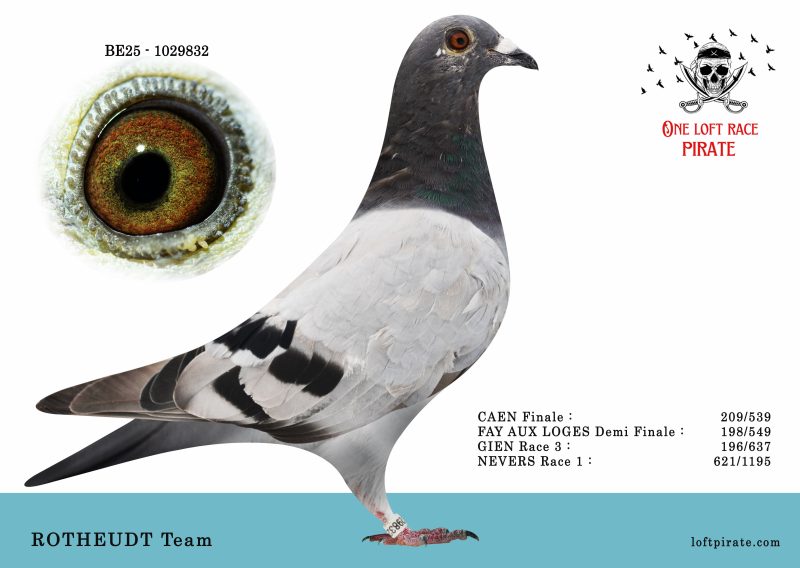 N° 48 : BE-2025-1029832 F – ROTHEUDT Team