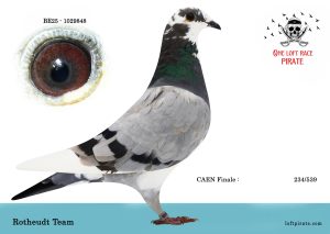 N° 44 : BE-2025-1029848 F – ROTHEUDT Team