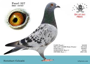 N° 37 : BE-2025-1047327 F – Nottebaert Columbi
