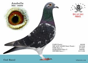 N° 50 : BE-2025-1062002 F – Cool Raoul