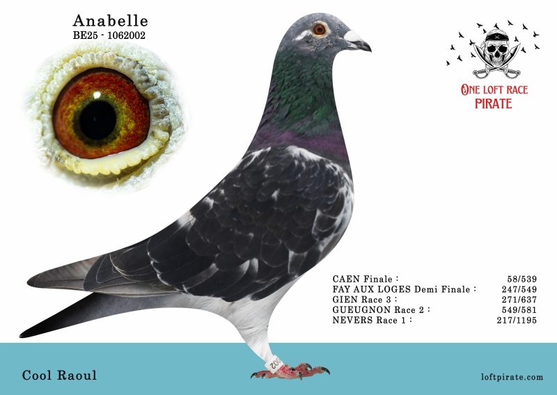 N° 50 : BE-2025-1062002 F – Cool Raoul