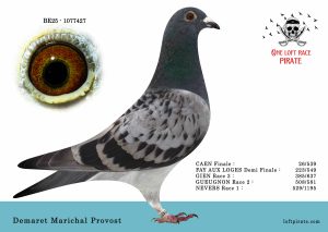 N° 38 : BE-2025-1077427 F – Demaret Marichal Provost