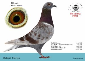 N° 45 : BE-2025-1078910 M – Defoort Thiriau