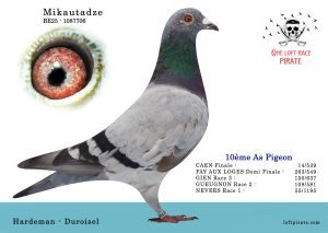 N° 46 : BE-2025-1087706 M – Hardeman – Duroisel