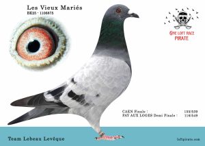 N° 47 : BE-2025-1106875 M – Team Lebeau Levêque