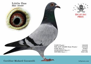 N° 41 : BE-2025-2034367 F – Cuvillier Medard Ceccarelli