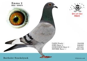 N° 50 : BE-2025-3008275 F – Bertholet Nonckelynck