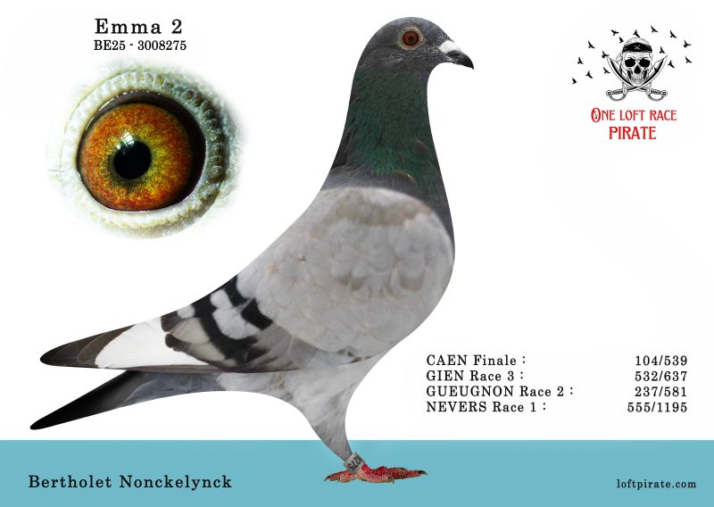 N° 50 : BE-2025-3008275 F – Bertholet Nonckelynck