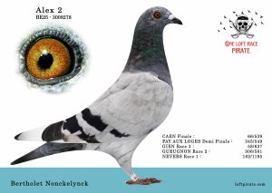 N° 42 : BE-2025-3008278 F – Bertholet Nonckelynck