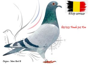 N° 62 : BE25-4010441