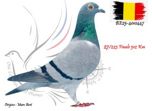 N° 27 : BE25-4010447