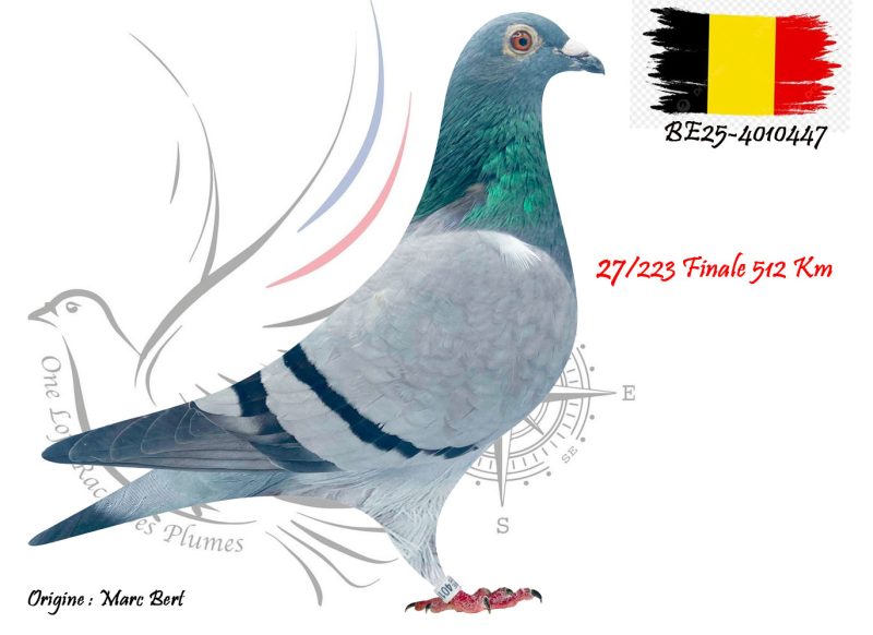 N° 27 : BE25-4010447