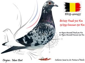 N° 61 : BE25-4010457