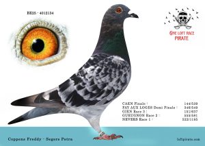 N° 52 : BE-2025-4012134 F – Coppens Freddy – Segers Petra