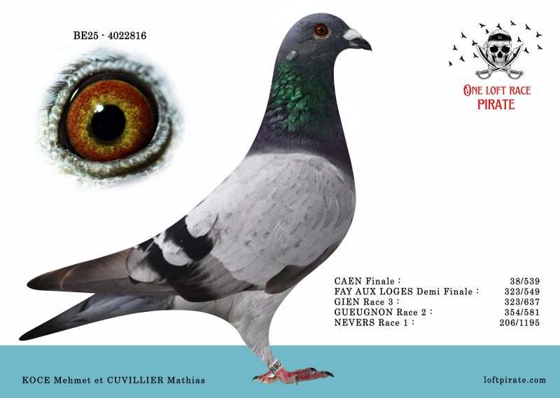 N° 52 : BE-2025-4022816 M – KOCE Mehmet et CUVILLIER Mathias