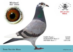 N° 53 : BE-2025-4065949 F – Team Van der Maas