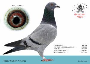 N° 53 : BE-2025-4136464 F – Team Wichert / Florea