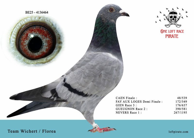 N° 53 : BE-2025-4136464 F – Team Wichert / Florea