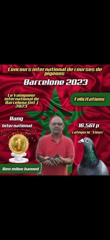 N° 19 : Hamed BEN MILOUD