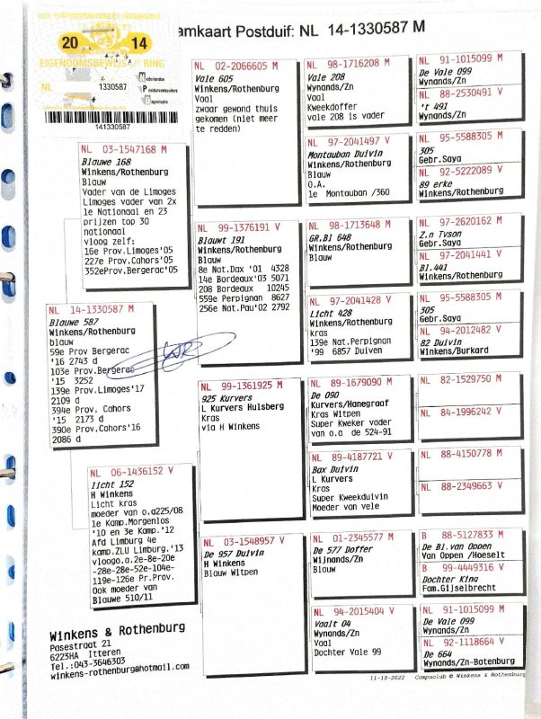 Bon n°18 behih pedigrée père