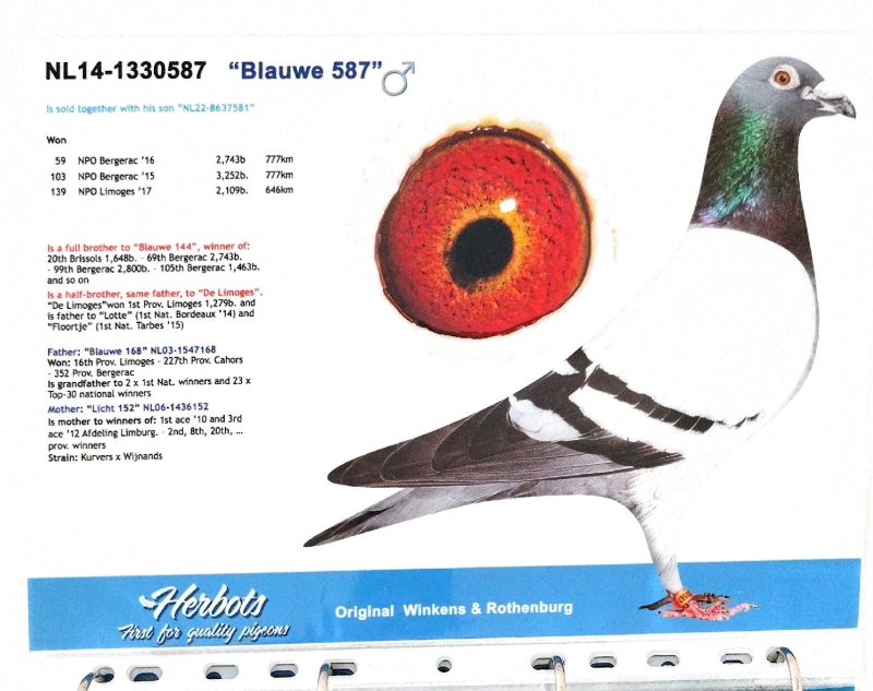 Bon n°18 behih photo père