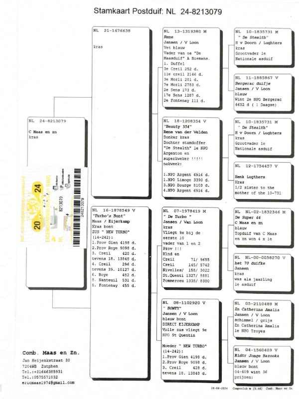Bon n°19 behih pedigrée mère