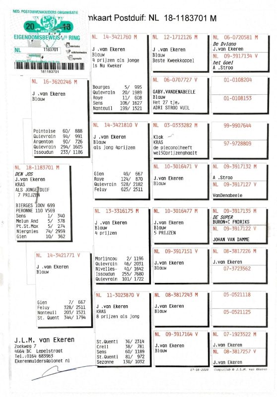 Bon n°19 behih pedigrée pere