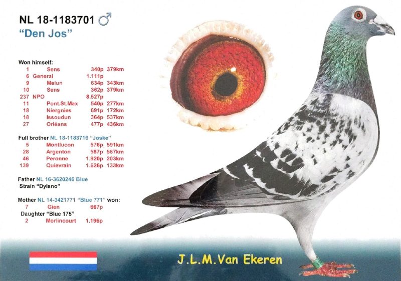 Bon n°19 behih photo père