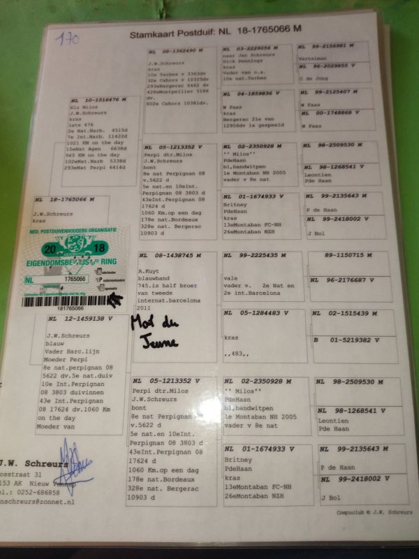 Bon n°29 liénard pedigré père