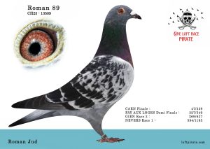 N° 05 : CH-2025-13589  F – Roman Jud
